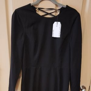 Dress the Population Body-Con Dress